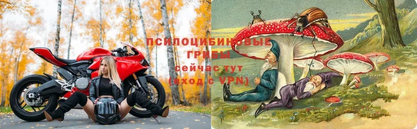 прущая мука Новокубанск