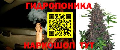 MESCALINE Аргун