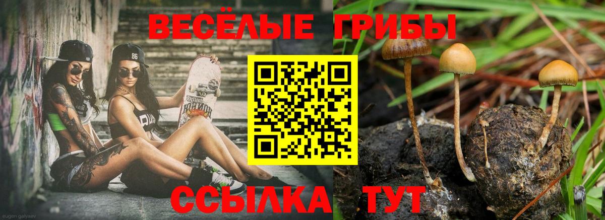Псилоцибиновые грибы ЛСД  Вход с VPN  Аша 