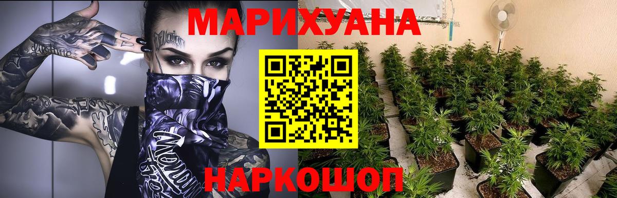 Конопля Bruce Banner Аша